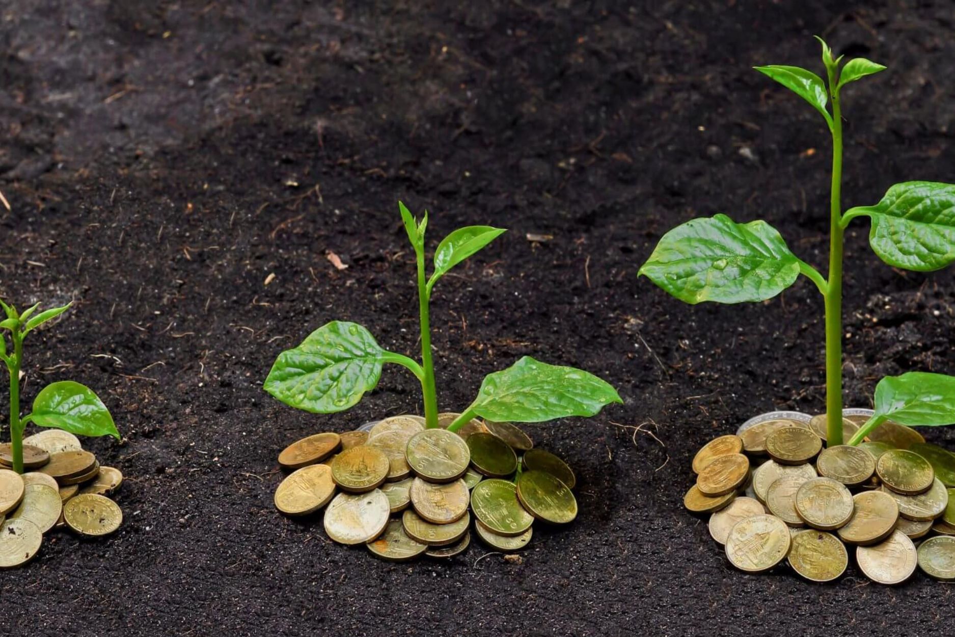 SME LOAN